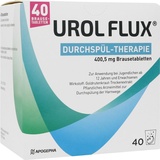 Apogepha UROL FLUX DURCHSPÜL-THERAPIE 400,5 mg Brausetabl.