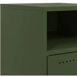 vidaXL Nachttisch Olivgrün 36x39x59 cm Stahl