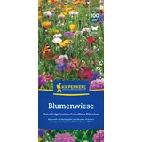 Kiepenkerl Saatgut Kiepenkerl Blumenwiese für ca. 100 m2