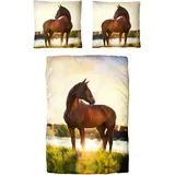 Traumschloss Bettwäsche »Renforcé« Pferd im Sonnenaufgang, 135x200 & 80x80, 100% Baumwolle, mit Reißverschluss bestehend aus Kissen und Bettbezug