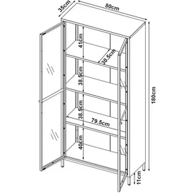 [en.casa] Vitrinenschrank Säkylä Stahl Schwarz