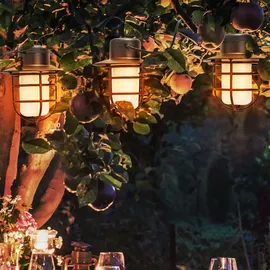 Nowa Solar Lichterkette Solarlampe LED Aussen Gartenlampe Flammeneffekt, Akku Erdspieß, schwarz, 24x led Laterne warmweiß, DxL 8x200 cm