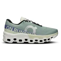 On Cloudmonster 2 Herren Mineral/Aloe 45