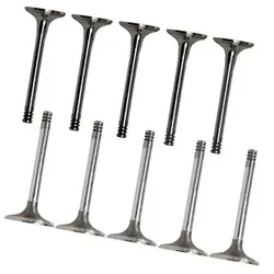 Bestprice 10 Ventile (5x Auslaß + 5x Einlaß) [Hersteller-Nr. 511019] für Audi, VW