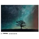 Navaris Magnettafel Memoboard, Starry Sky und Tree, 70 x 50 cm, bunt