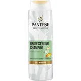 Pantene Pro-V Miracles Grow Strong Shampoo 250 ml