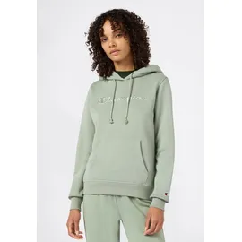 Champion ICONS TONAL Hoodie S