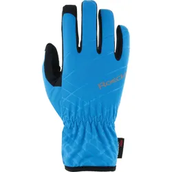 Roeckl Karleby blue aster (5540) 6,0