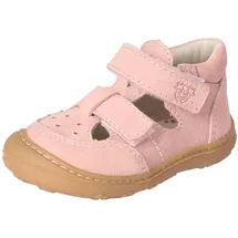 Pepino Eni Rosa 24