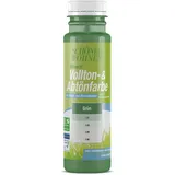 Schöner Wohnen Mineral Vollton- & Abtönfarbe Grün matt 250 ml