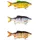 Westin Angelköder Ricky The Roach Redlight Roach 25 cm 210 g