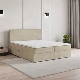 masseno NIRA 160 x 200 cm Creme