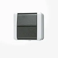 Jung Wippschalter 806 W