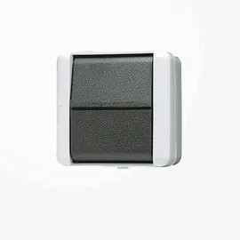 Jung Wippschalter 806 W