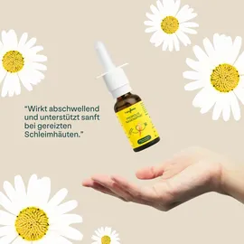 beelife ag heybee Propolis Nasenspray