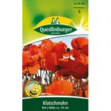 Quedlinburger Klatschmohn Rot