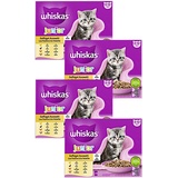 Whiskas Junior Geflügel Auswahl in Gelee 48 x 85 g