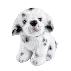 Teddys Rothenburg Kuscheltier Hund klein Dalmatiner 12 cm schwarz-weiß (Plüschhund Stoffhund klein, Plüschtiere Hunde Stofftiere)