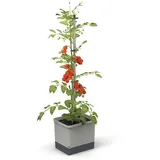Gusta Garden Tom Tomato Pflanztopf 28 x 35 x 136 cm Hellgrau