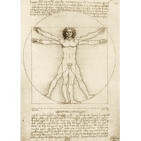 Bluebird Puzzle Leonardo Da Vinci - The Vitruvian Man,
