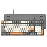 Ziyou LANG K3 Mechanische Tastatur, Abnehmbarer USB C kabelgebundener Mechanical Blue Switch, Beleuchtet, LED-beleuchtet, Gaming-Tastatur, Kompakte 100 Tasten mit Number Pad, PC-Gaming-Tastatur