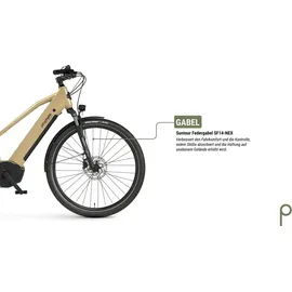 Prophete Entdecker 3.4 28 Zoll RH 50 cm Beige