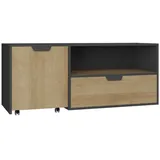 masseno CORTINA Lowboard 120x50x45 cm Grau/MDF