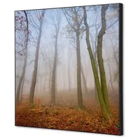 Showdown Displays Wanddekoration Set 40x40 Herbstnebel