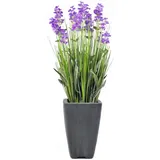 Europalms Lavendel, lila, im Dekotopf, 45cm