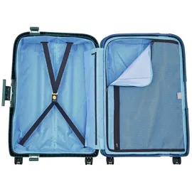 Delsey Moncey 4-Rollen 69 cm / 73 l grün