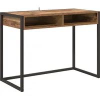 VidaXL Schreibtisch Altholz 100 x 50 x 75 cm