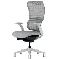 FlexiSpot Bürostuhl BS8 Pro Stoff grau, Gestell grau