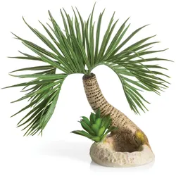 biOrb Palme Seychellen S (72679)