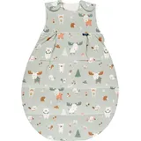 Alvi Alvi, Daunen-Schlafsack - Baby Forest - Gr. 90 (90 cm,