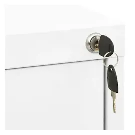 vidaXL Aktenschrank Weiß 46x62x72,5 cm Stahl