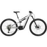 cannondale Moterra Neo 3 Grau Modell 2024