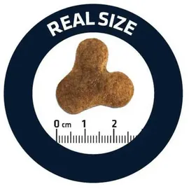 Advance Peripherals French Bulldog Adult 7,5 kg