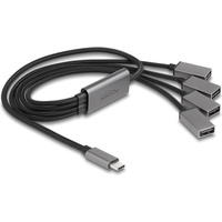 Delock 64210 Schnittstellen-Hub USB 2.0 Type-C 480 Mbit/s