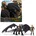 amigo spiel freizeit spin master Dreamworks How to Train your Dragon Wikinger Drachen Actionfiguren-Set Ohnezahn