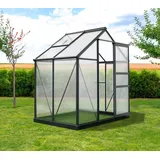 Westmann Aluminium Gewächshaus Flora 64 | Anthrazit | 132x192x202 cm