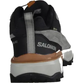 Salomon X Ultra 360 Leather Gore-tex® Wanderschuhe - Wrought Iron / Sedona Sage / Sierra - EU 44