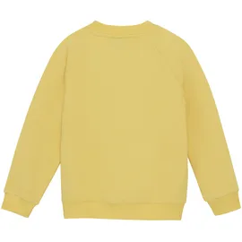 Color Kids Sweater Yellow 152