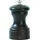 Peugeot Palace Salzmühle holz 10 cm