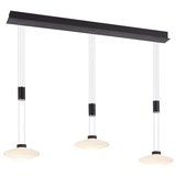 Paul Neuhaus Pendelleuchte »LAUTADA«, 3 flammig, Leuchtmittel LED-Board LED fest integriert, LED, dimmbar, Simply Dim, Memory, nach Trennung vom Netz, schwarz