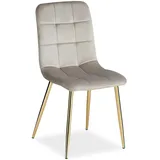 Homestyle4u Esszimmerstuhl in Beige und Gold Samt 2218