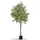 Tectake tectake® Künstlicher Olivenbaum Oleand verschiedene Größen mit viel Volumen, stabiler Kunststoff-Blumentopf