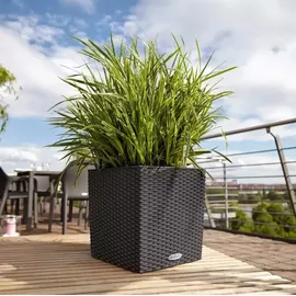 LECHUZA Cube Cottage 30 Komplettset 30 x 30 x 30 cm granit