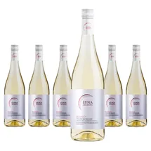 Mondo del Vino Luna Argenta Bianco Appassite 2023 0,75 l