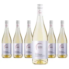 Mondo del Vino Luna Argenta Bianco Appassite 2023 0,75 l