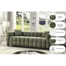 Atlantic Home Collection 3-Sitzer Stella, inkl. 2 Zierkissen und mit modernem Teddy Stoff grün
